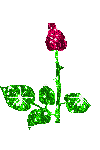 Virag